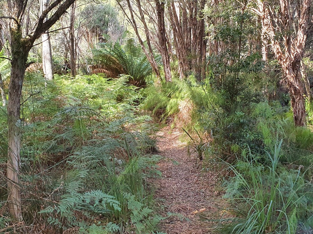 Whyte River Track-Corinna必去景点