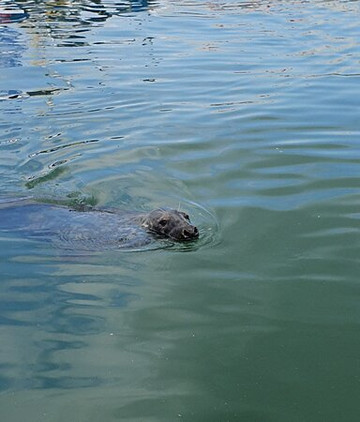 South West Rib Rides-布里克瑟姆必去景点