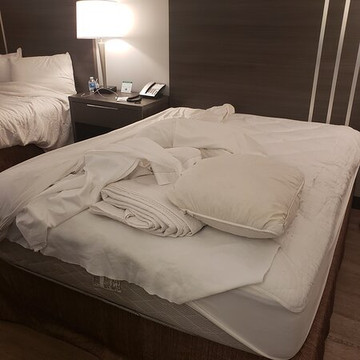 棕榈树花园酒店主图