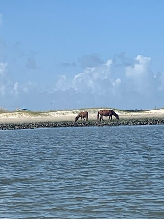 Beaufort Paddle景点图片