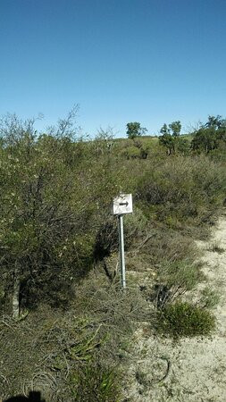 Badgingarra National Park景点图片