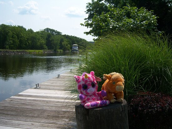 Spencerport Depot & Canal Museum景点图片