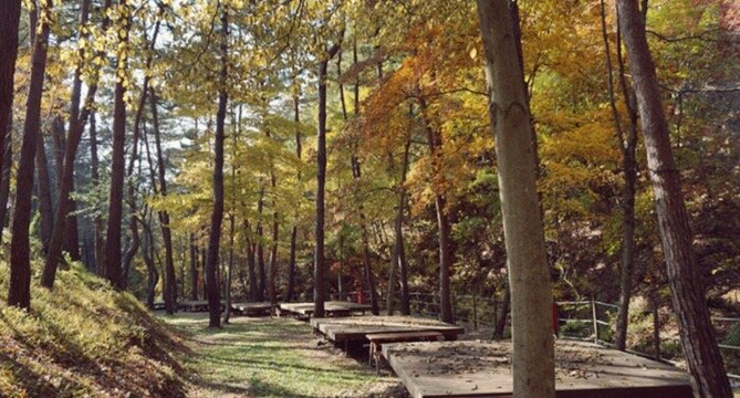 Geommasan Recreational Forest