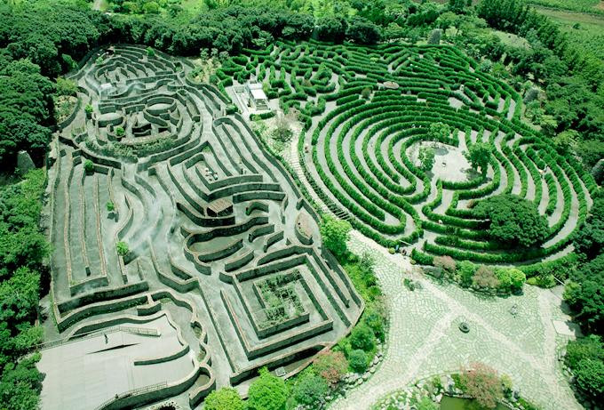 迷宫主题公园