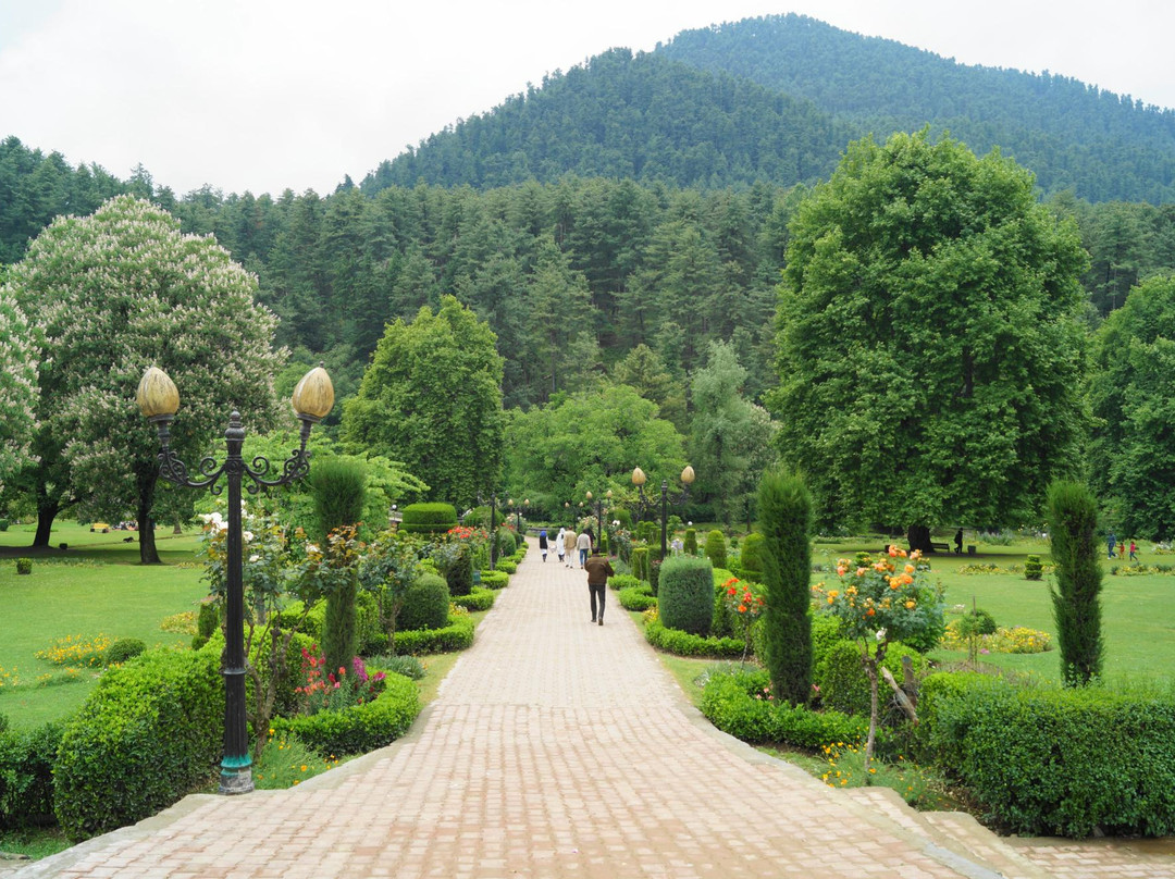 Botanical Garden Kokernag景点图片