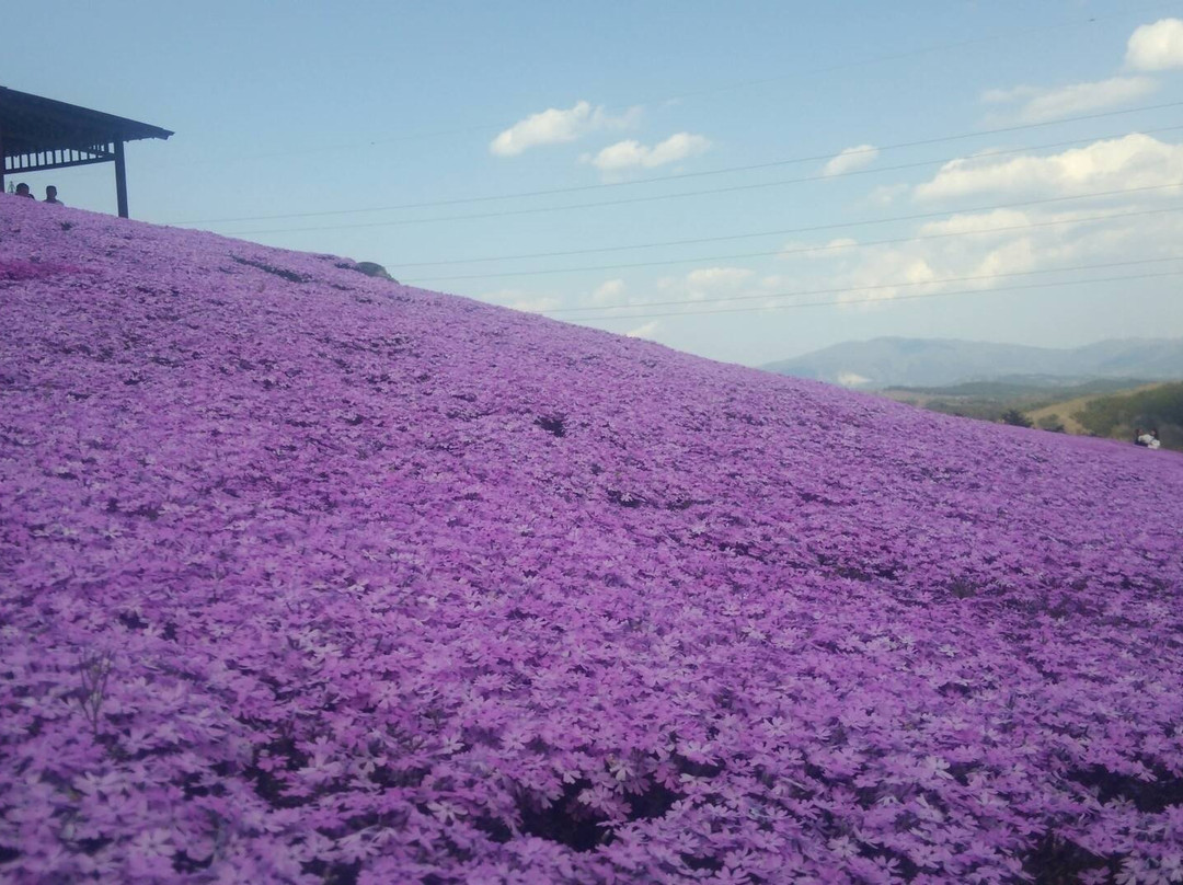 Jupia Land Hirata景点图片