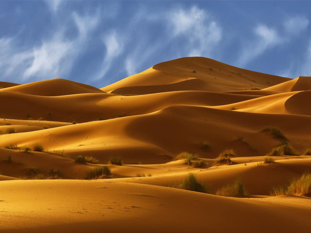 Morocco Shiny Days-非斯必去景点