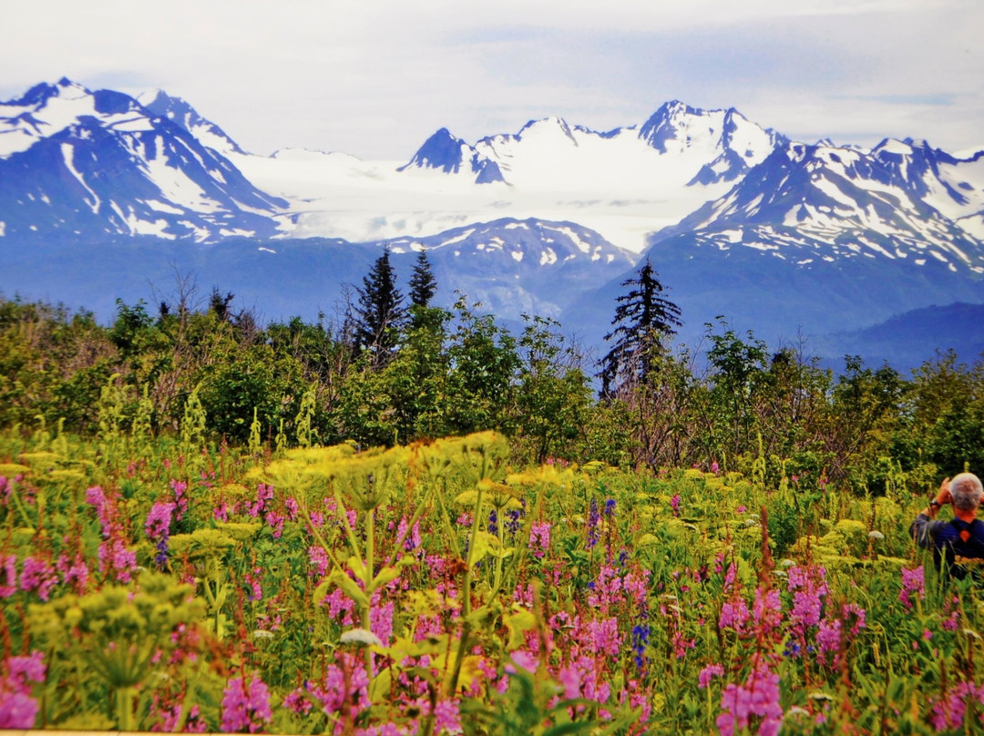 Fritz Creek旅游攻略图片
