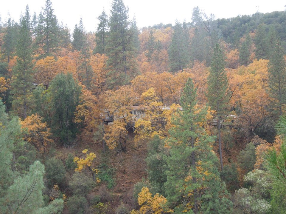 Midpines旅游攻略图片