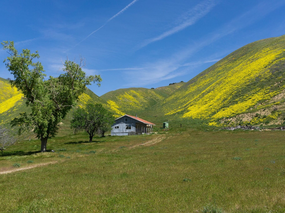 Maricopa旅游攻略图片