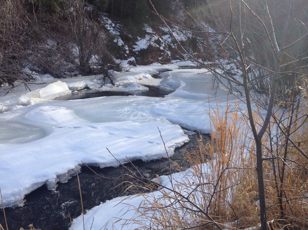 Morrison旅游攻略图片