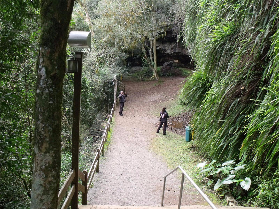 Itapuca Grotto-Anta Gorda必去景点