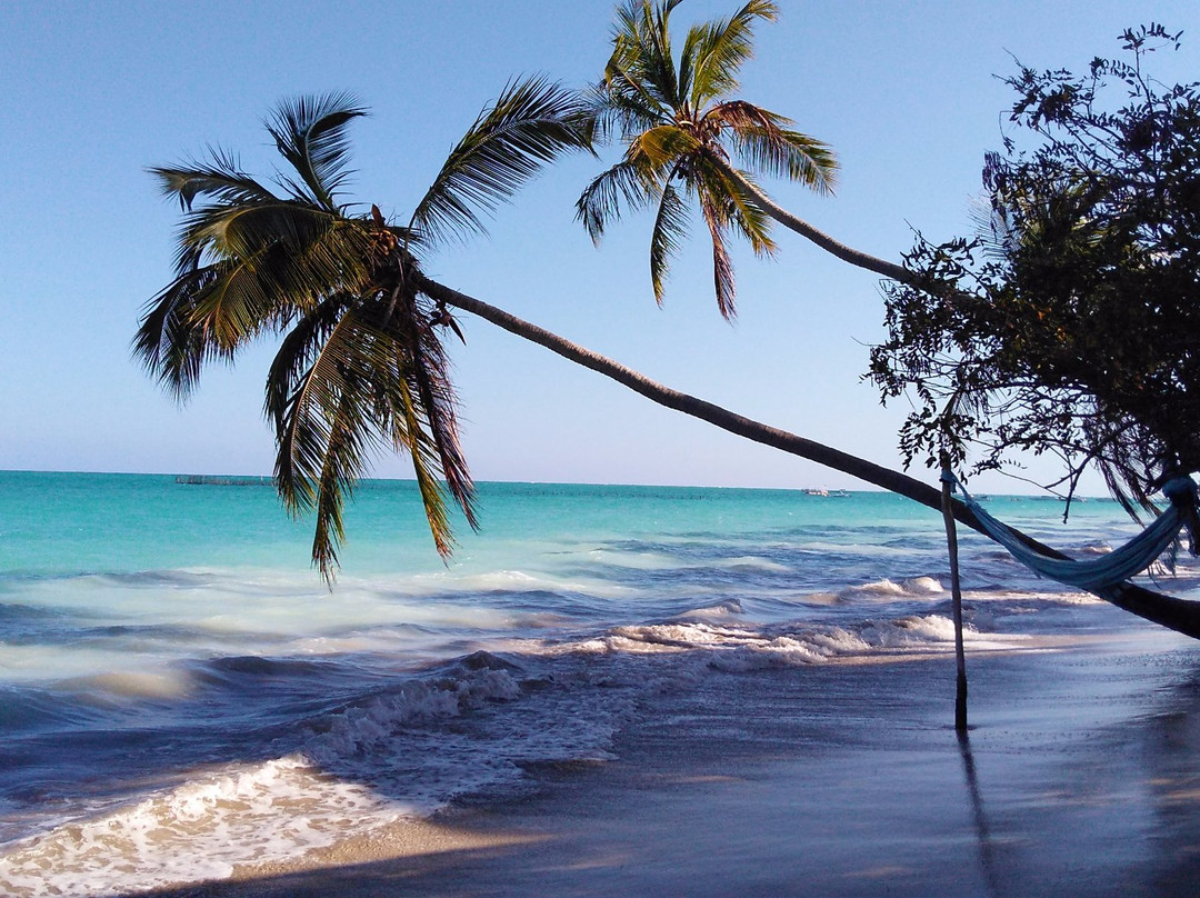 Ponta do Mangue旅游攻略图片