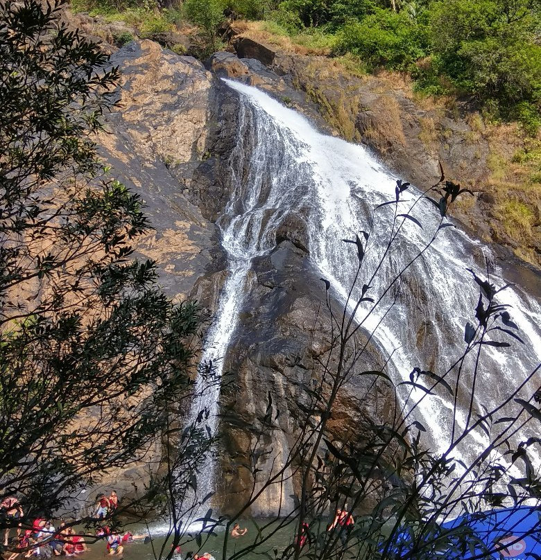 Dudhsagar Falls景点图片