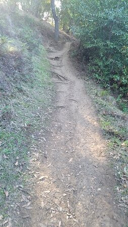 阿尔马登奎克西尔弗郡立公园-圣何塞必去景点