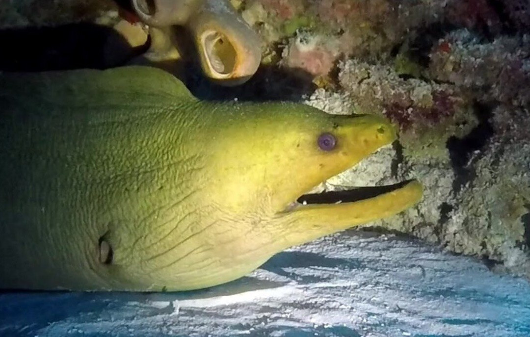 Kily The Kid-考祖梅必去景点