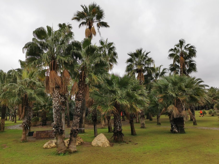 Parque Forestal Juan Carlos I-梅利利亚必去景点