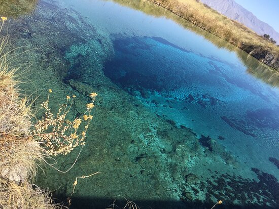 MONTERREY TOUR-蒙特雷必去景点