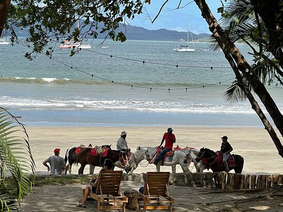 The Coast Beachfront Hotel主图