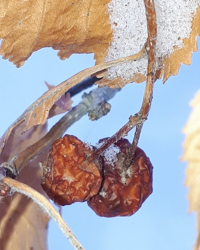 La Barriere Park-La Salle必去景点
