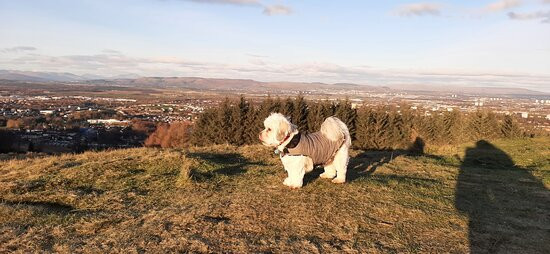 Gleniffer Braes Country Park景点图片