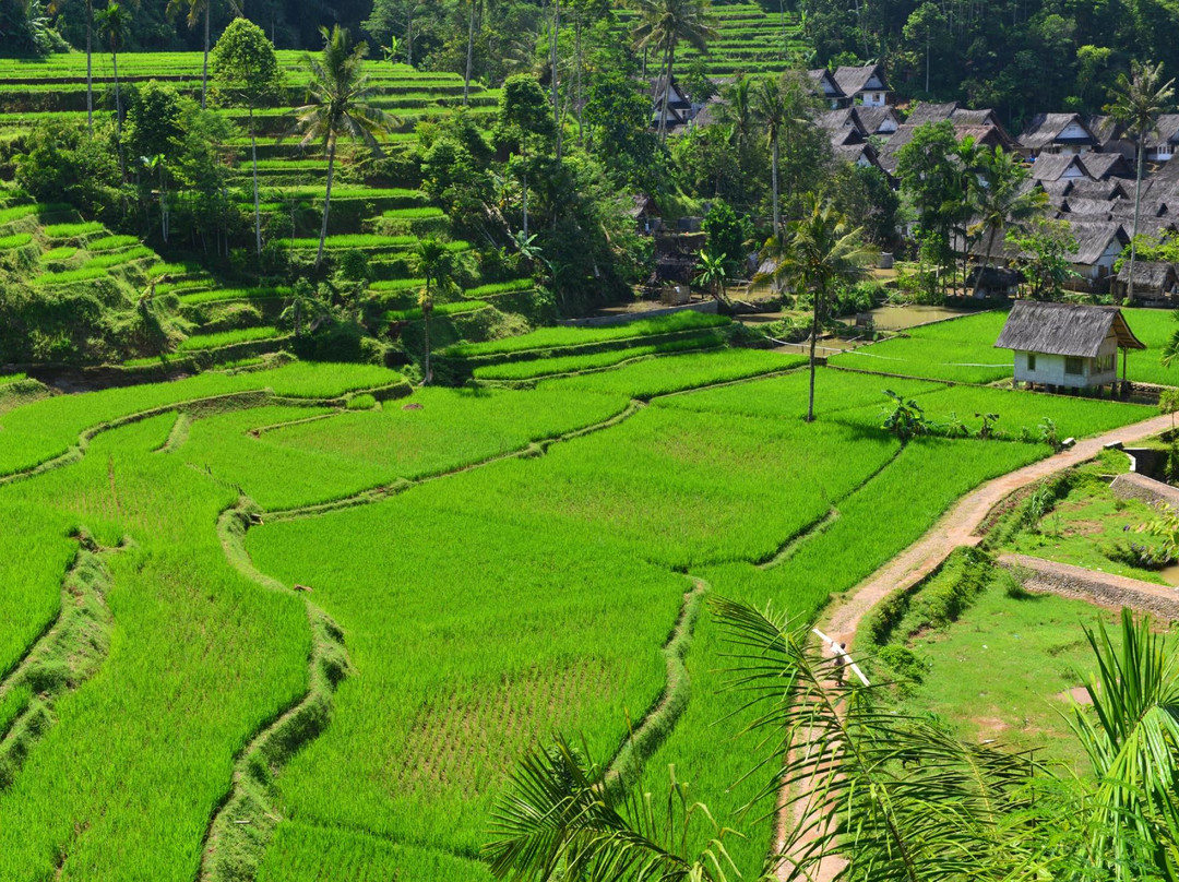 Tasikmalaya旅游攻略图片