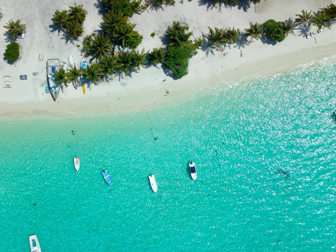 哈霓玛阿都旅游攻略图片