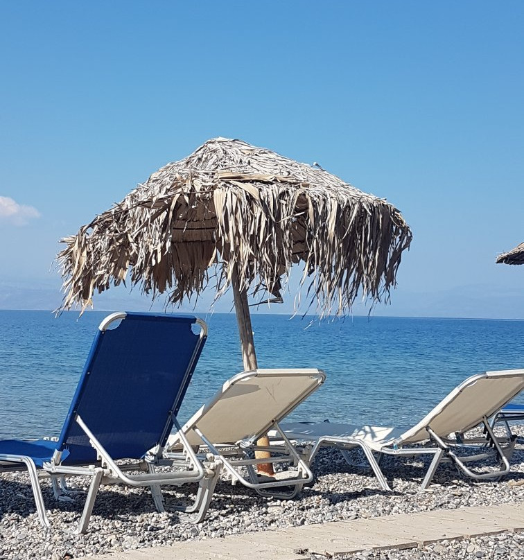 Fuerte - Music cafe Beach bar