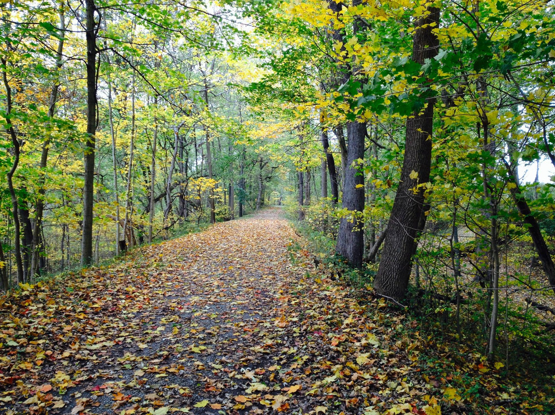 Western Maryland Rail Trail景点图片