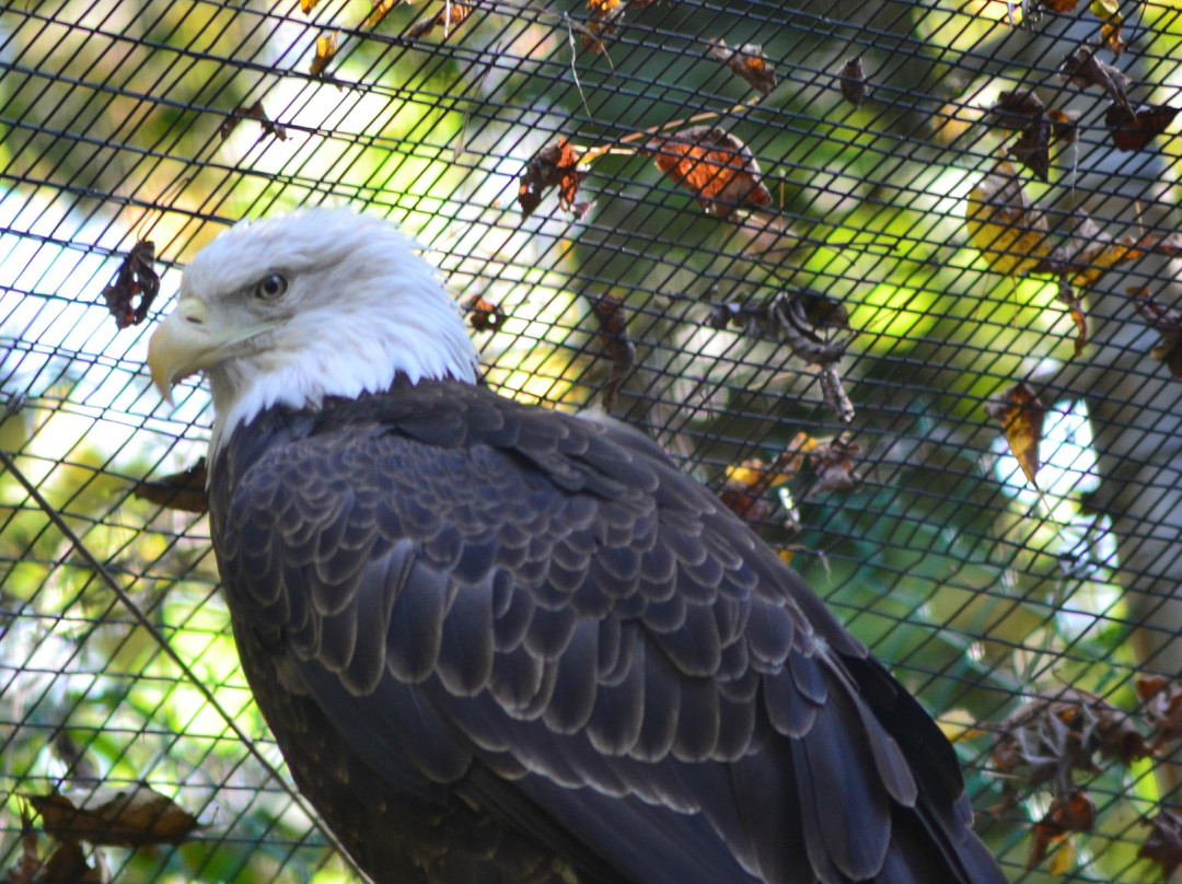 Brandywine Zoo