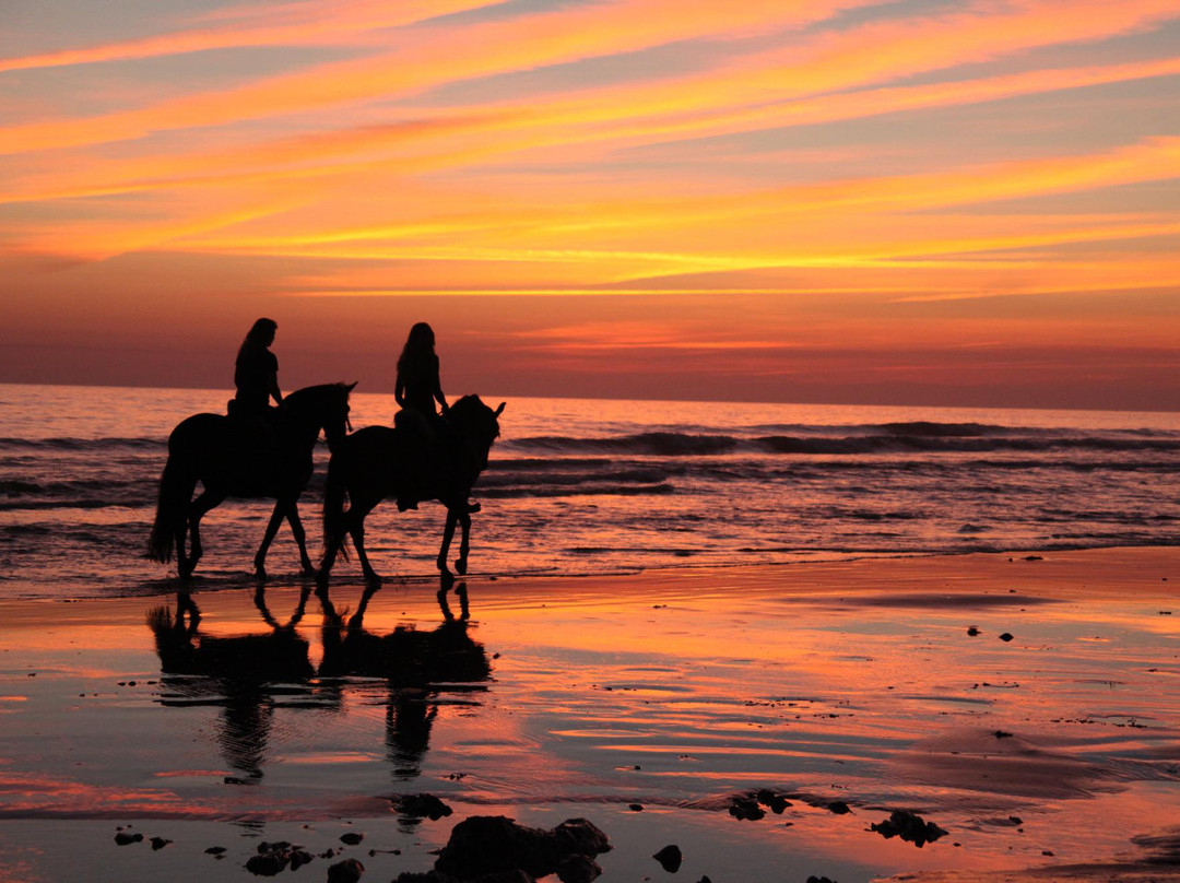 Hurricane Hipica - Day Tours-塔里法必去景点