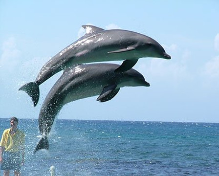 Goa Water World-加兰古特必去景点