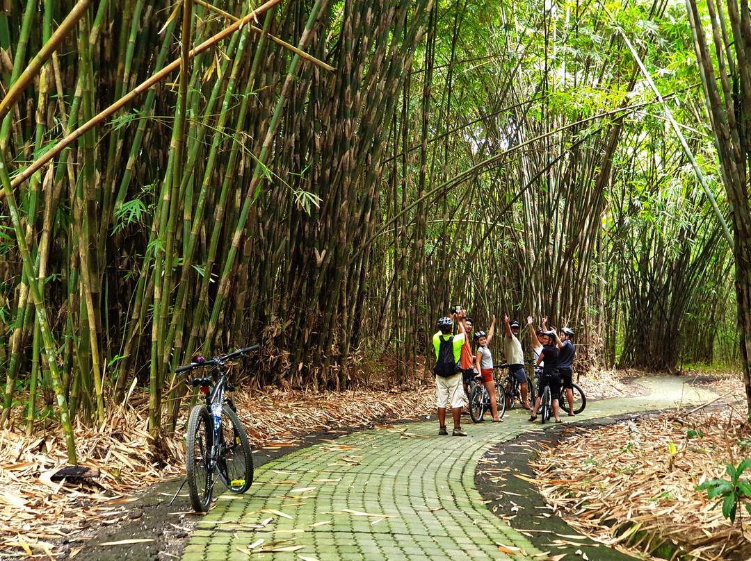 Bali Hai Adventure Tours-吉安雅必去景点