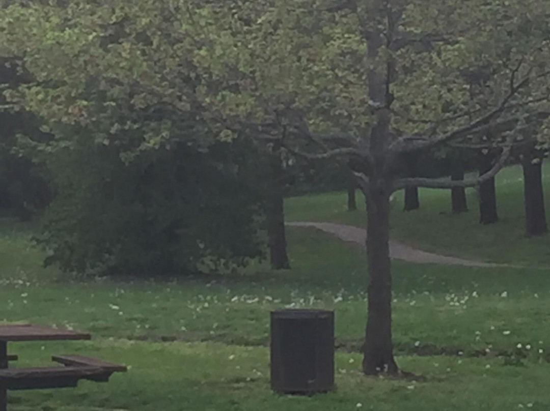 Big Spring Park-Versailles必去景点