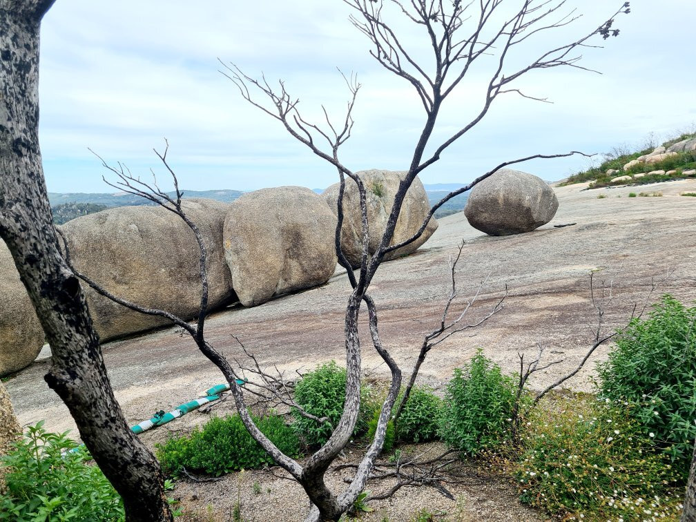 Bald Rock National Park景点图片