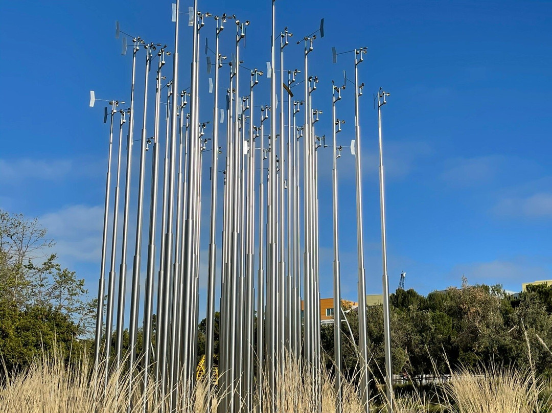 Tongva Park-圣莫尼卡必去景点