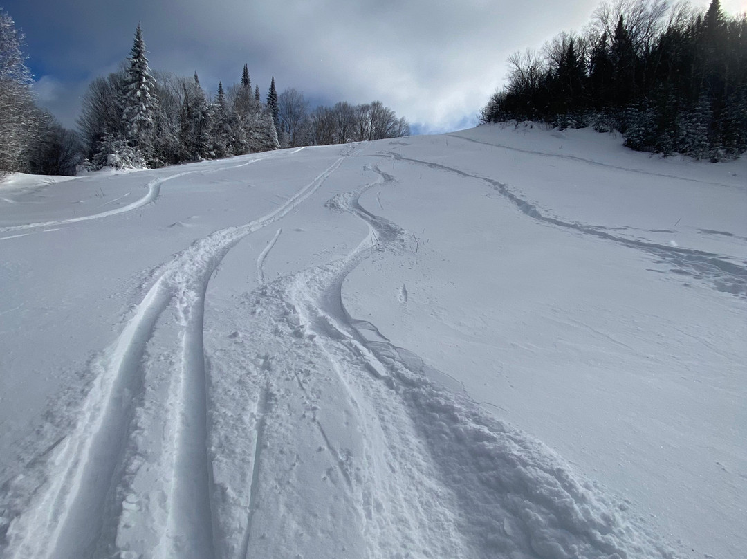 Hotel Mont-Tremblant主图