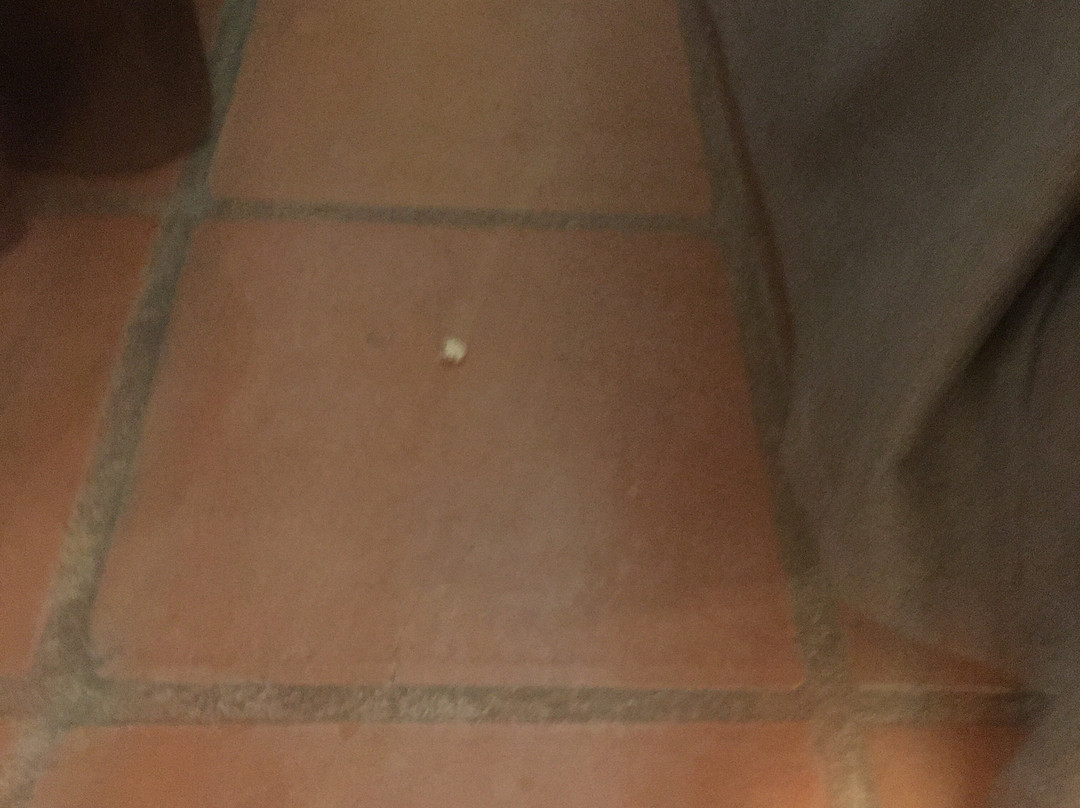 Y.O. Ranch Hotel主图