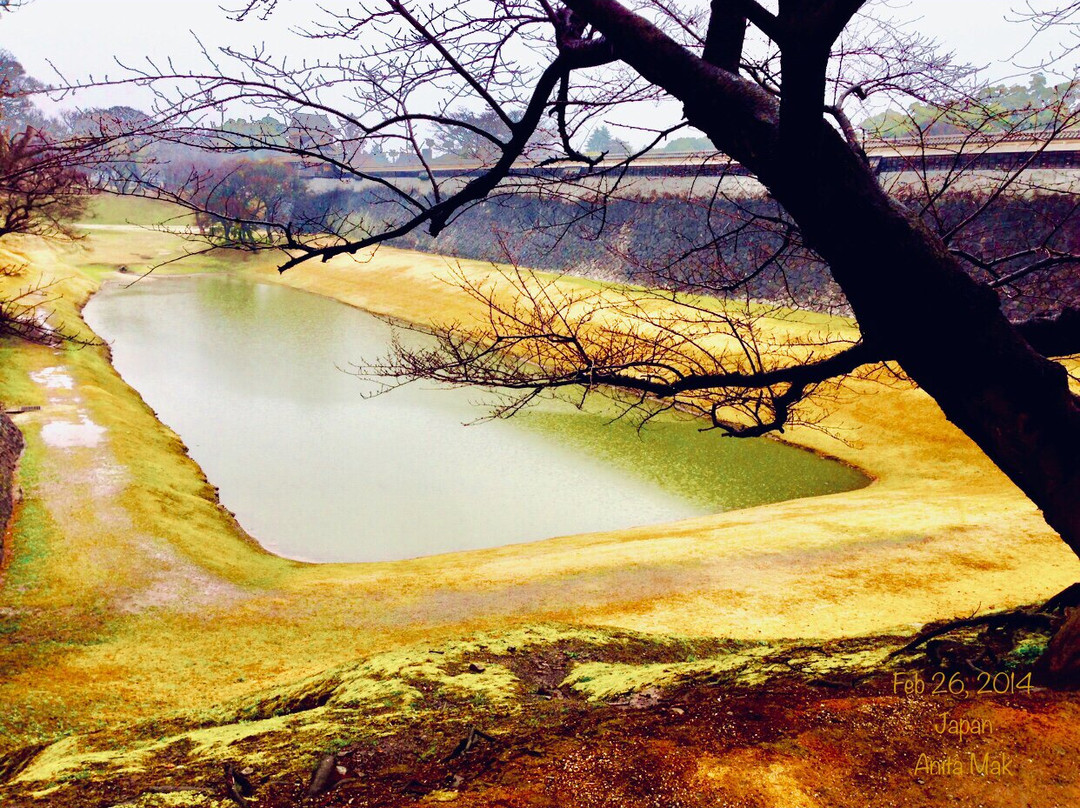 熊本城本丸御殿景点图片