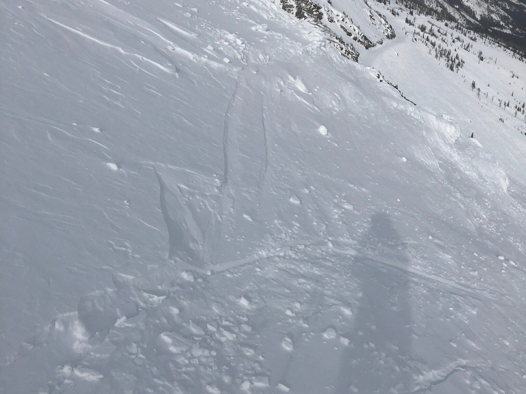 城堡山滑雪场-平雀溪镇必去景点