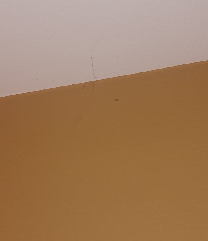 Comfort Suites Texarkana Arkansas主图