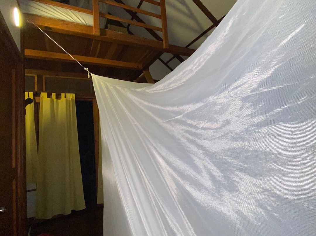 Nuba Boutique Hostel主图