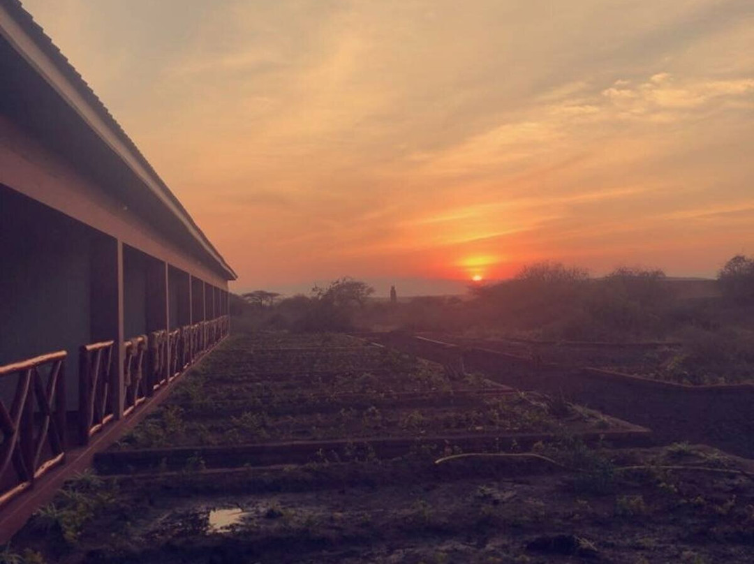 Lake Eyasi-卡拉图必去景点