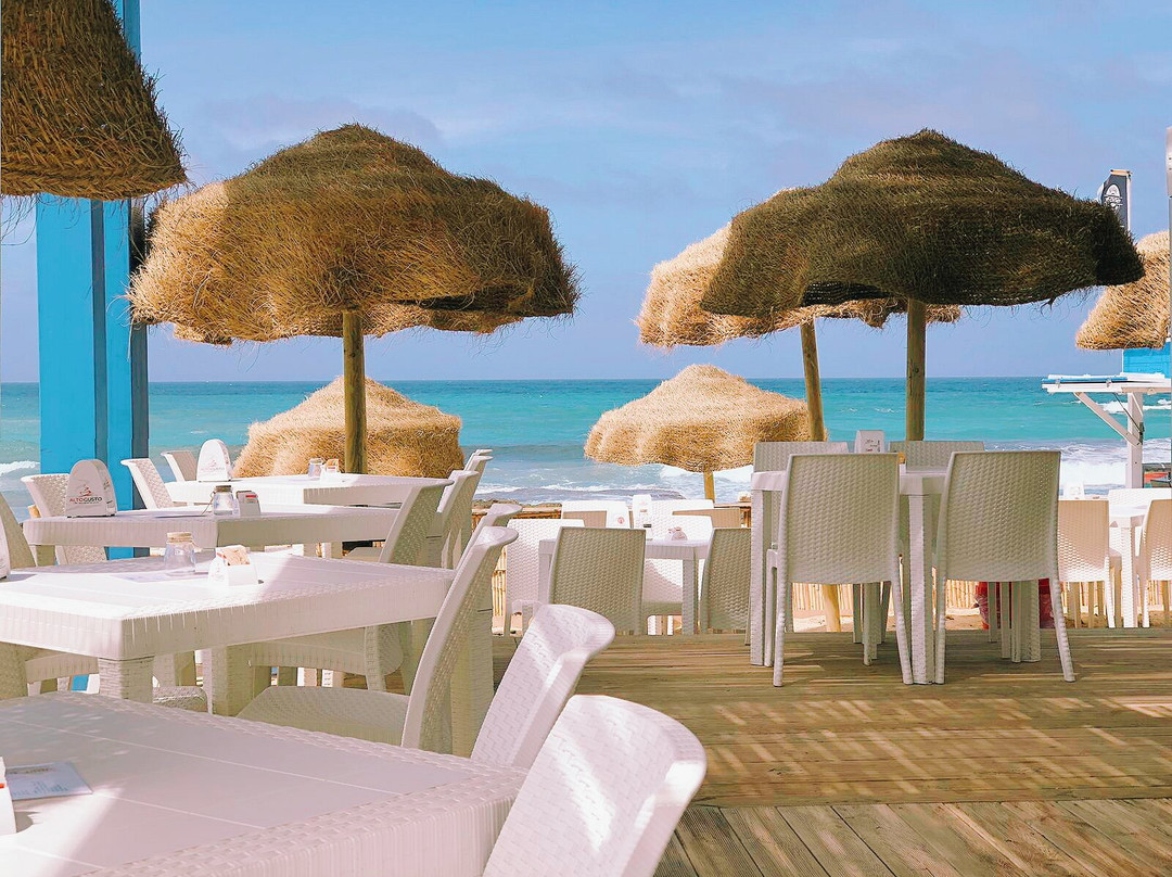 Vento Maestro - Lido Bar Trattoria