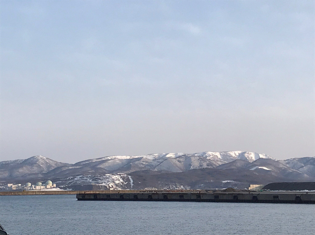 Iwanai Fishing Harbour-岩内町必去景点