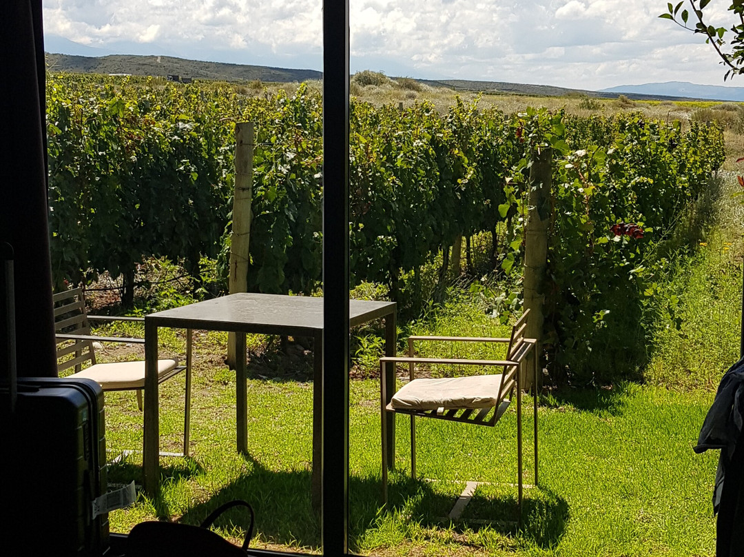 Auberge du Vin, a Tribute Portfolio Hotel, Tupungato主图