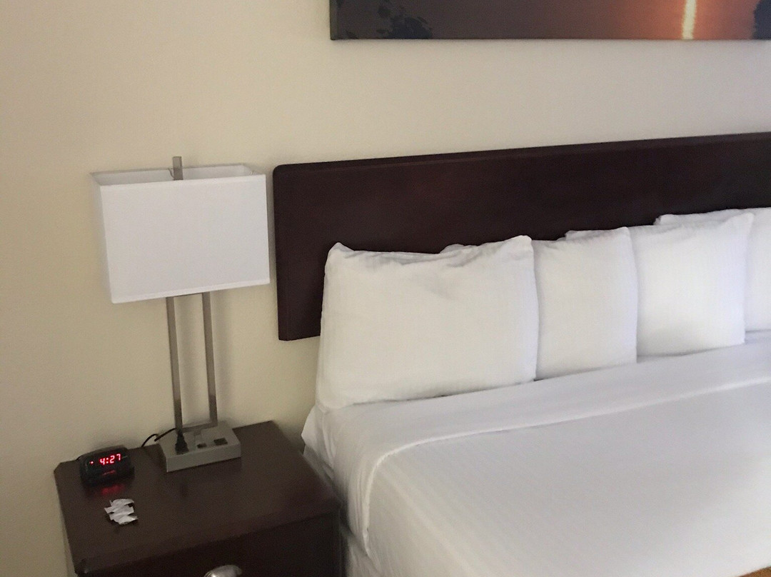 欧塞奇海滩盖斯特豪斯旅馆&套房酒店主图