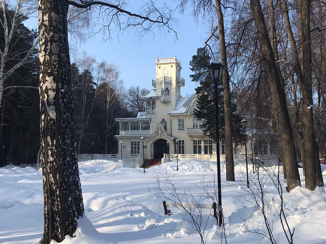 Art-Exhibition Complex Country House of Bashenin景点图片