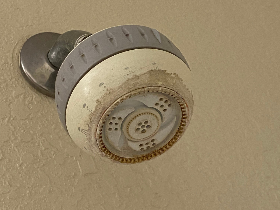 Super 8 by Wyndham Douglas主图