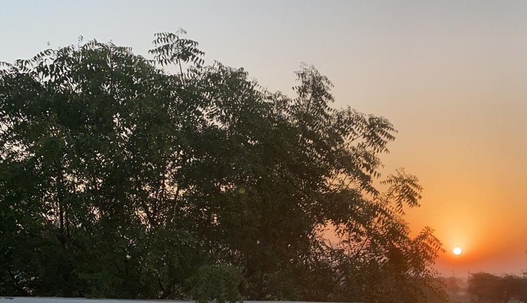 Thar Exotica Hotel & Resorts主图